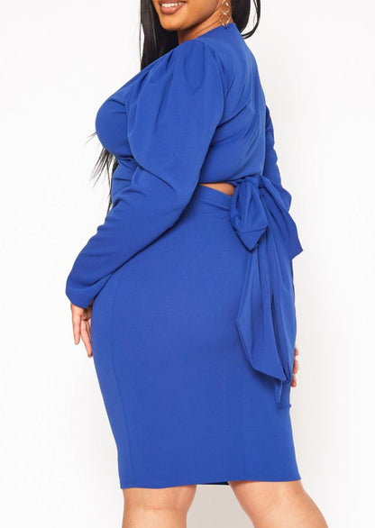 Plus Size Women Long Sleeve Wrap Blouse & Pencil Skirt Set