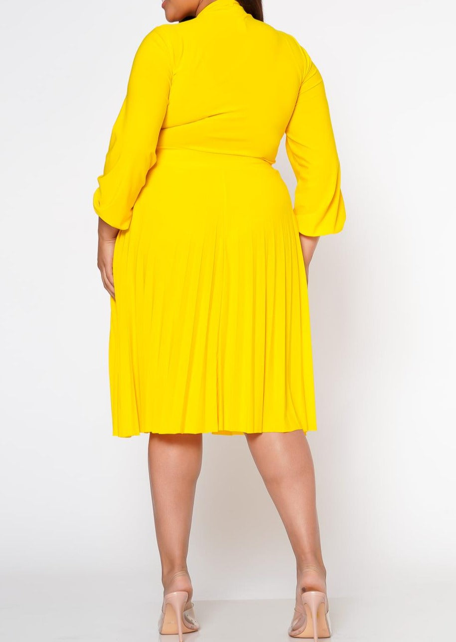 Hi Curvy Plus Size Bow Collar Pleated Fit & Flare Dress