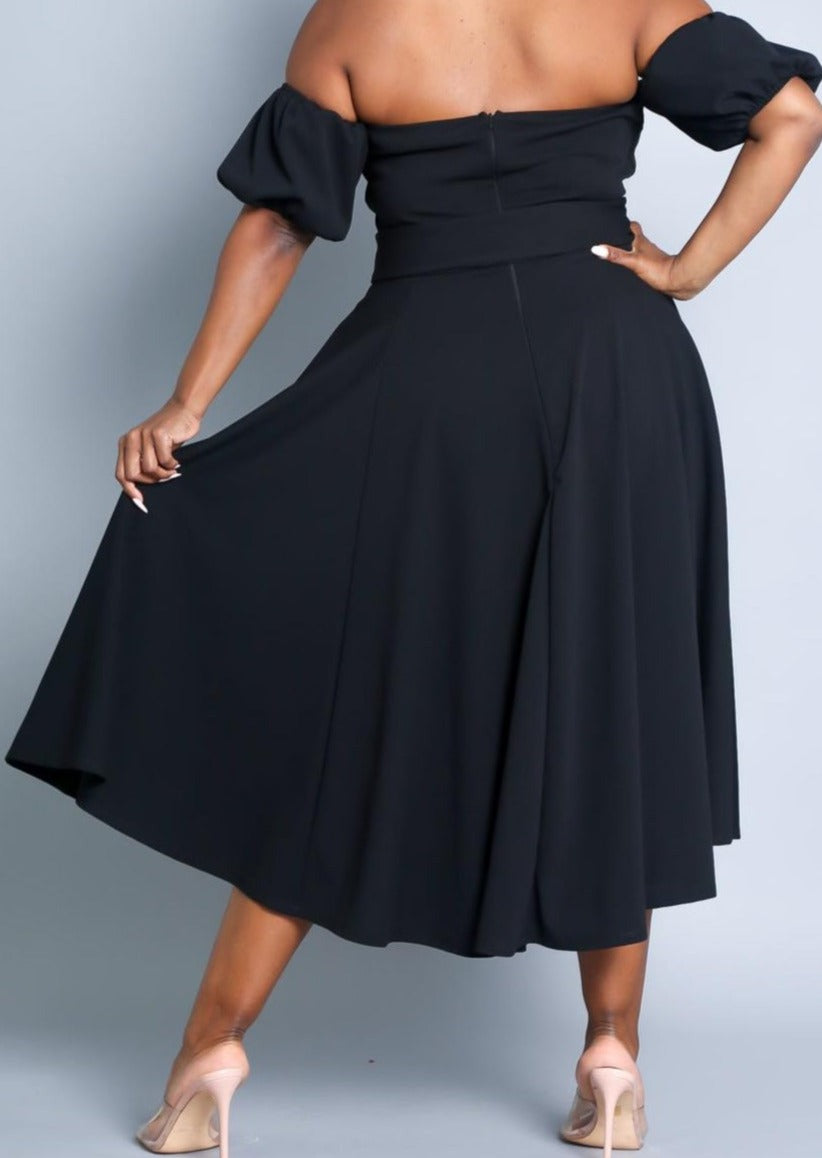 Hi Curvy Plus Size Attached Sleeves Tube Fit and Flare Dress