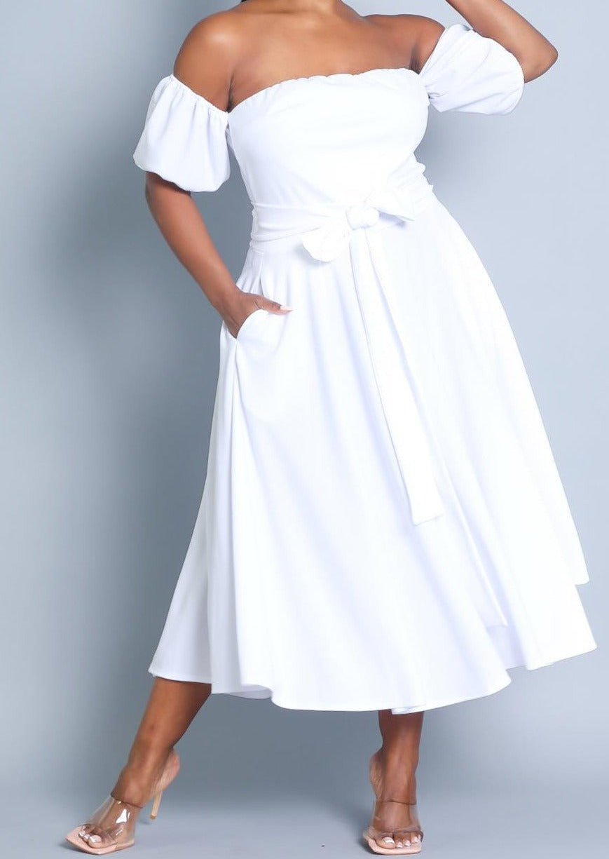 Hi Curvy Plus Size Attached Sleeves Tube Fit and Flare Dress