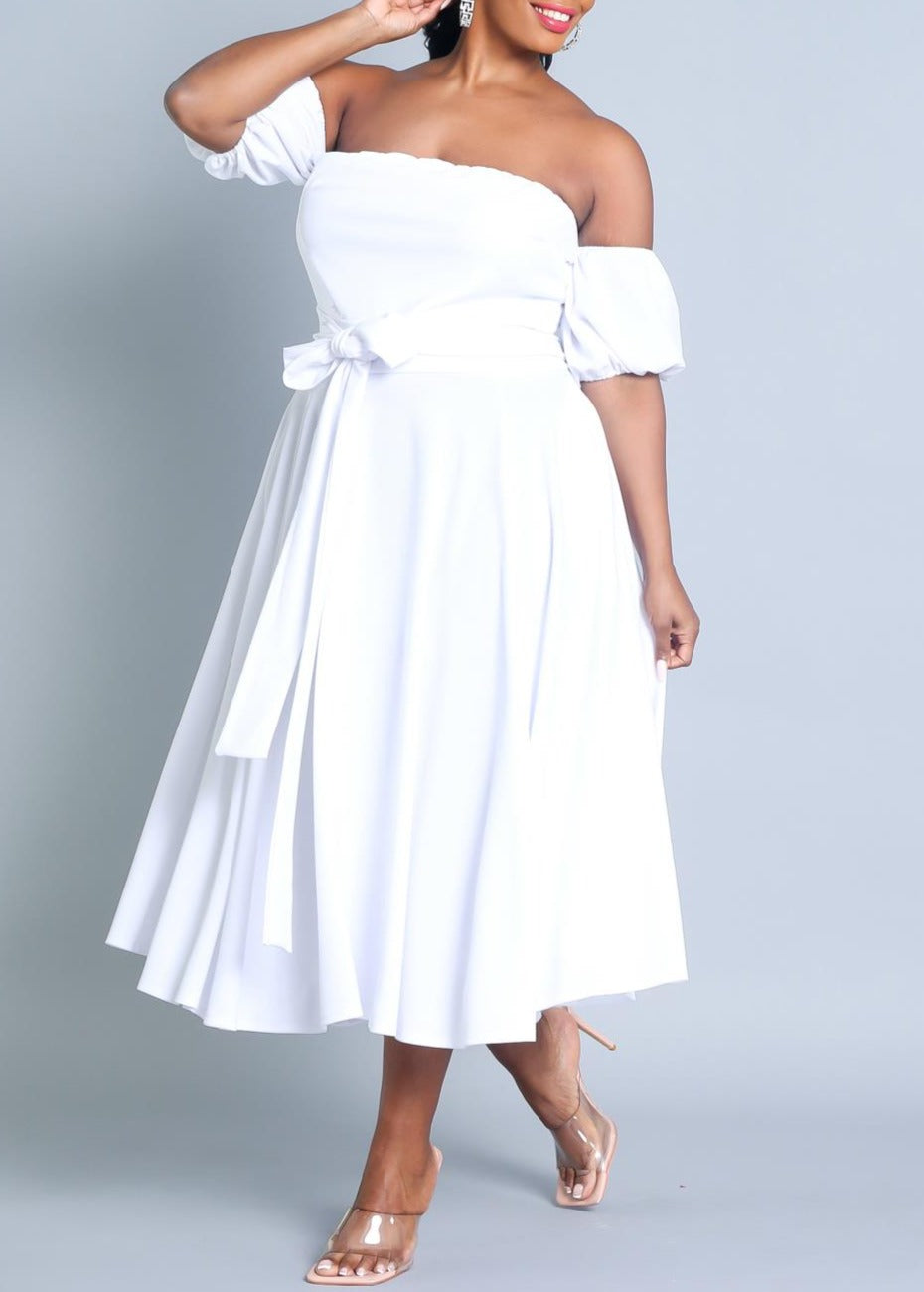 Hi Curvy Plus Size Attached Sleeves Tube Fit and Flare Dress