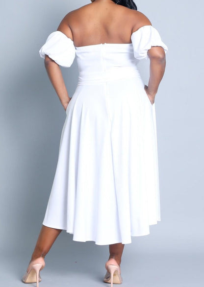 Hi Curvy Plus Size Attached Sleeves Tube Fit and Flare Dress