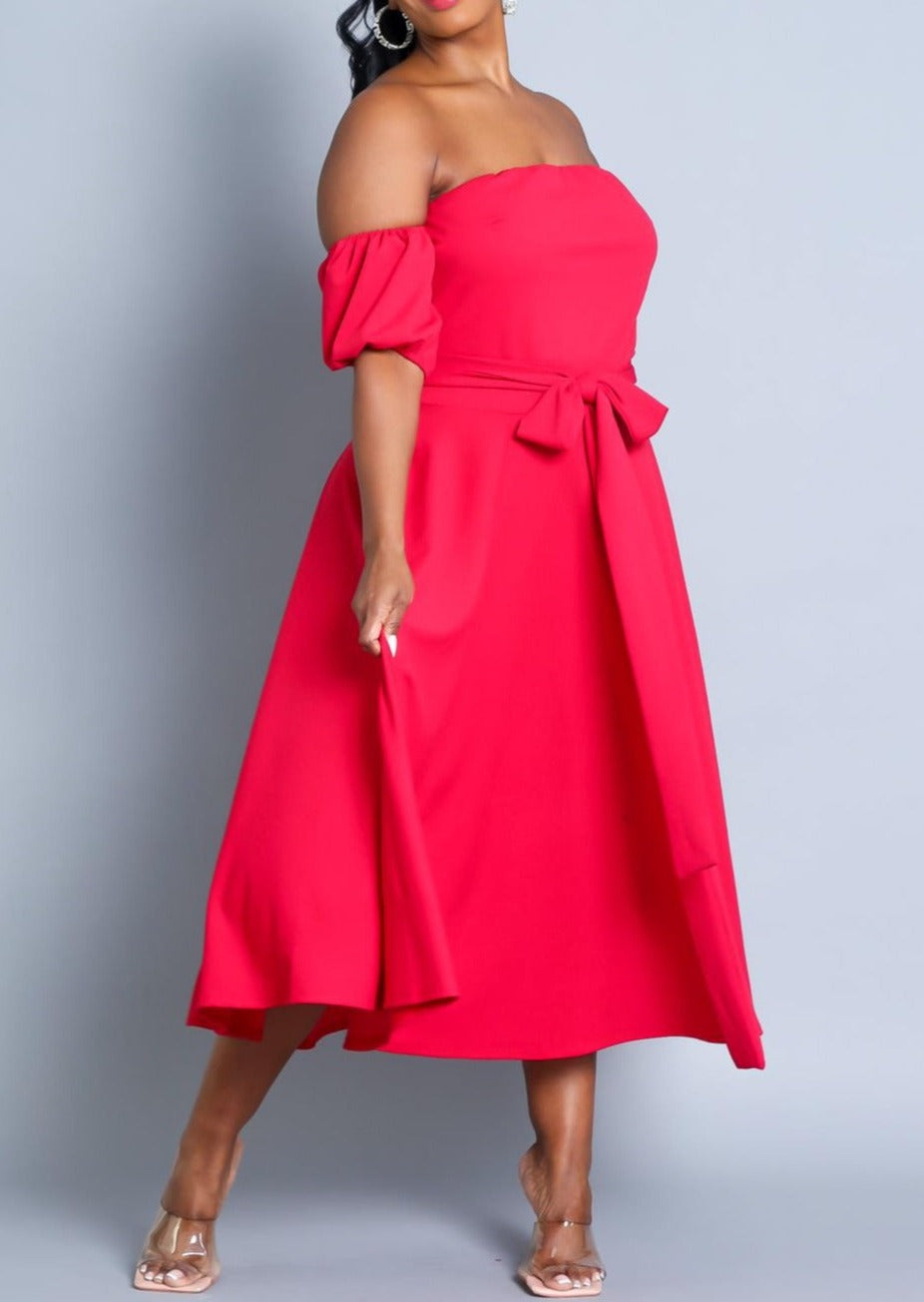 Hi Curvy Plus Size Attached Sleeves Tube Fit and Flare Dress