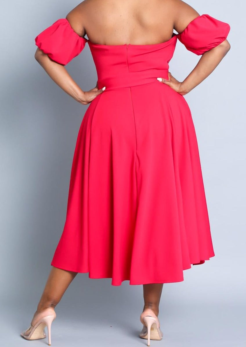 Hi Curvy Plus Size Attached Sleeves Tube Fit and Flare Dress