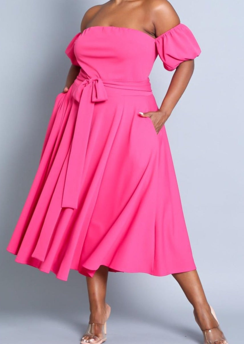 Hi Curvy Plus Size Attached Sleeves Tube Fit and Flare Dress