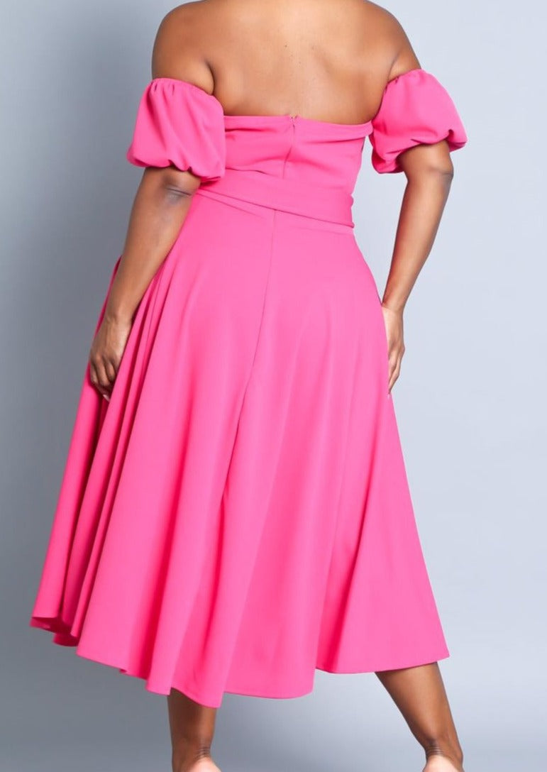 Hi Curvy Plus Size Attached Sleeves Tube Fit and Flare Dress