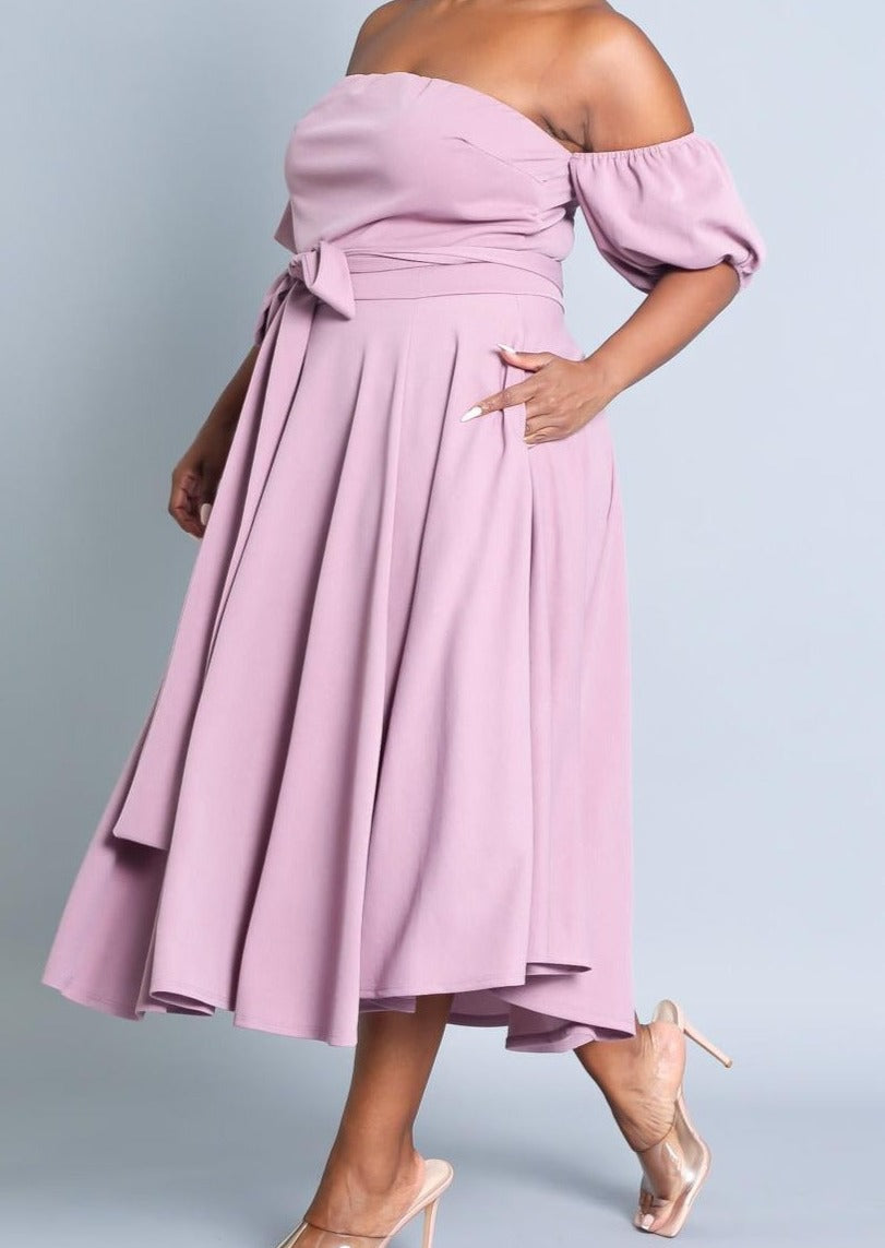 Hi Curvy Plus Size Attached Sleeves Tube Fit and Flare Dress