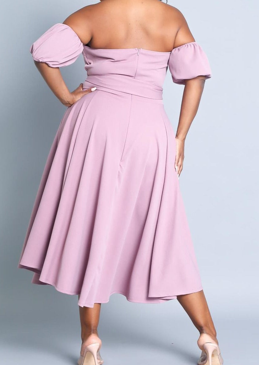 Hi Curvy Plus Size Attached Sleeves Tube Fit and Flare Dress