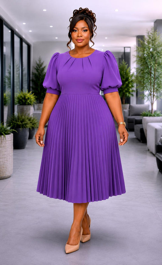 3123-SO PLEATED PLUS