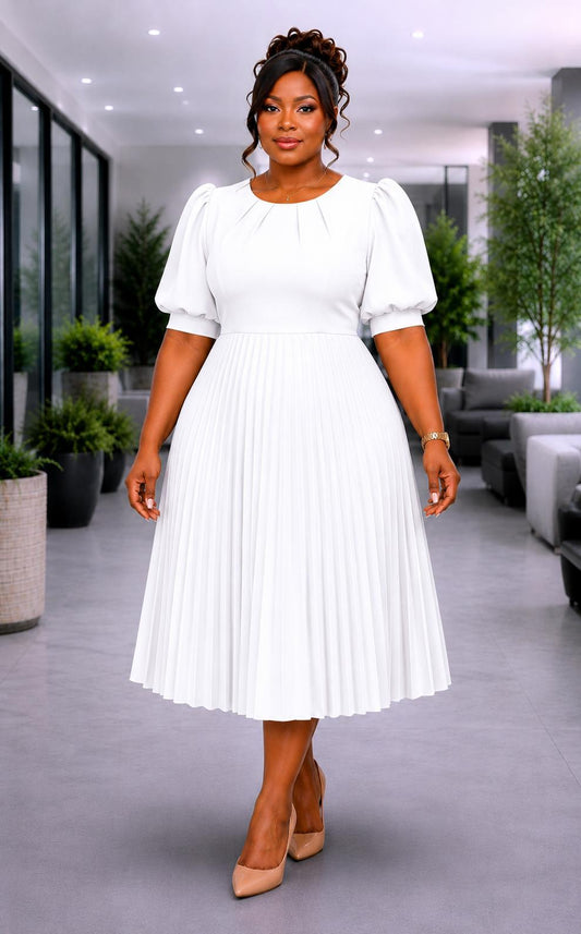 3123-SO PLEATED PLUS