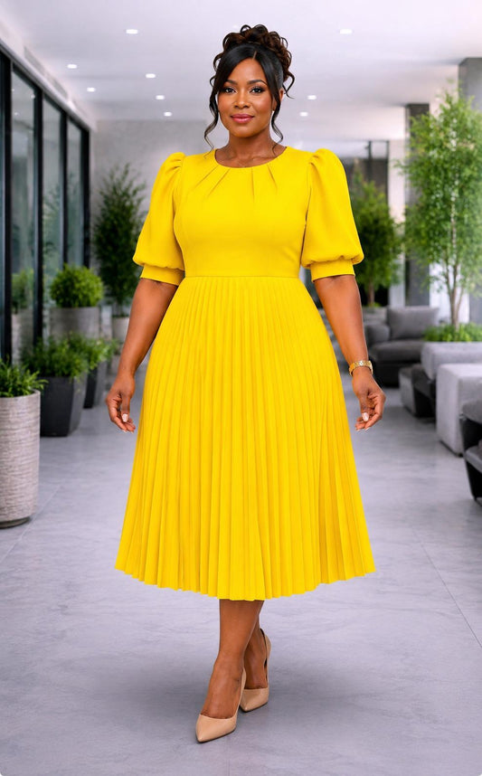 3123 PLEATED PLUS