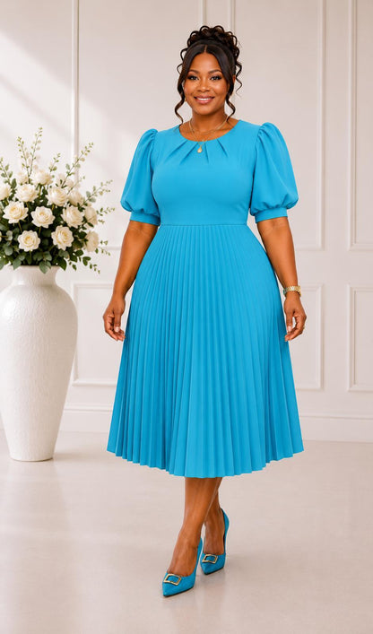 3123-SO PLEATED PLUS