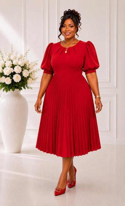 3123-SO PLEATED PLUS